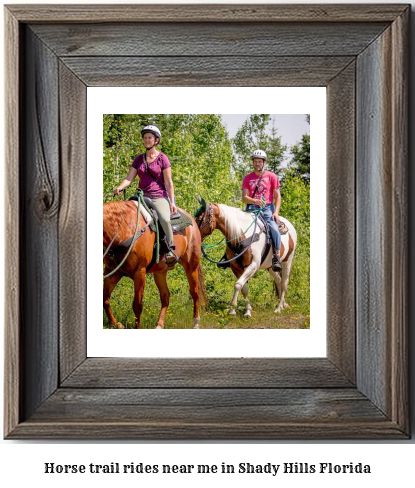 horse trail rides near me in Shady Hills, Florida